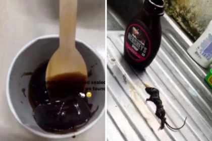 Dead mouse in Hershey’s chocolate syrup