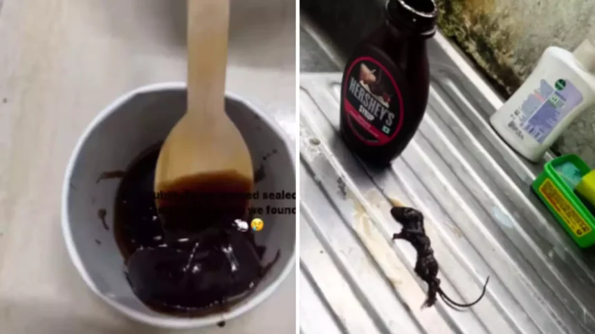 Dead mouse in Hershey’s chocolate syrup
